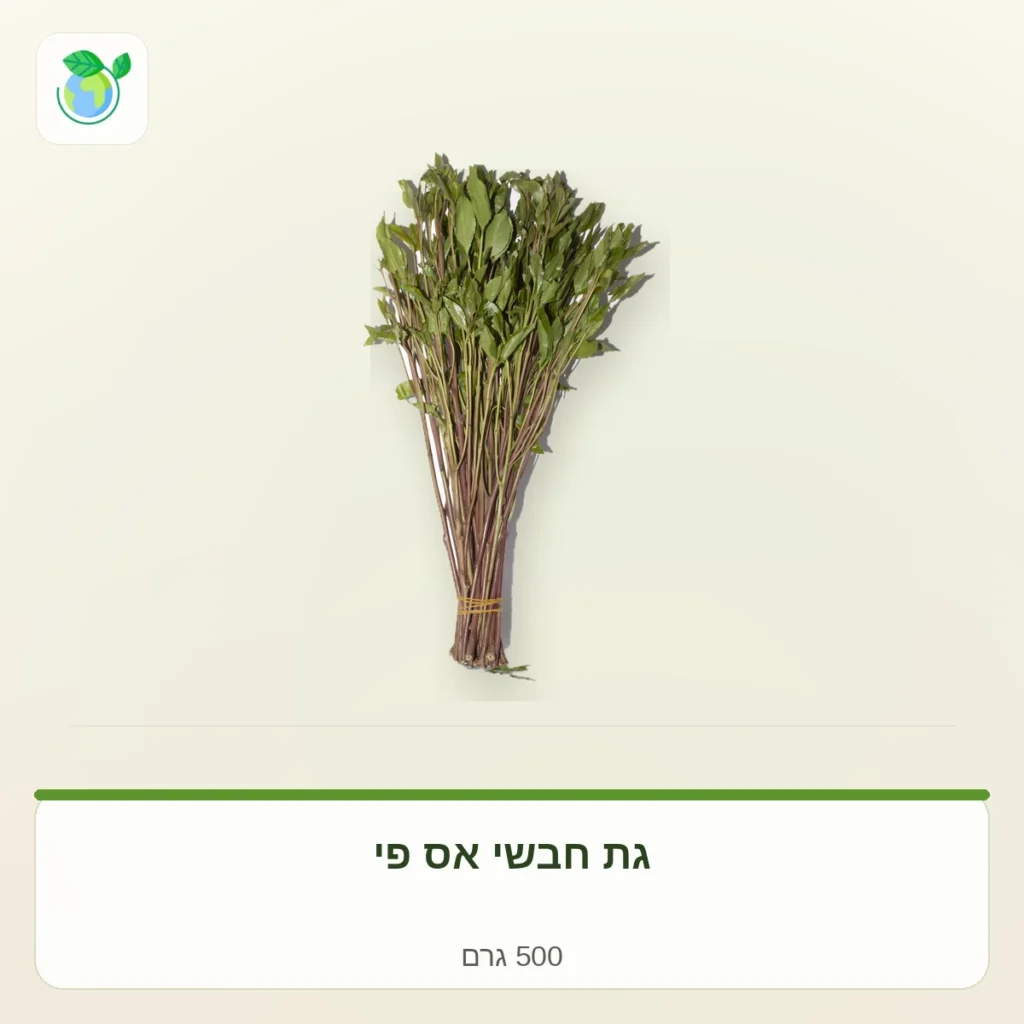 צרור טימין טרי קשור בחוט צהוב על רקע בהיר, המשמש כמוצר תבלינים בקטגוריה של 500 גרם
