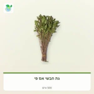 צרור טימין טרי קשור בחוט צהוב על רקע בהיר, המשמש כמוצר תבלינים בקטגוריה של 500 גרם