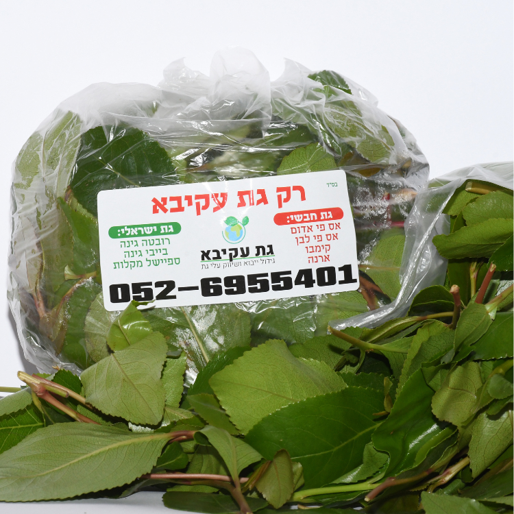 גת ישראלי אפרים בייבי – מומלץ להכנת מיץ! – כ 250 גרם - גת עקיבא