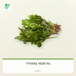 חבילה של עלים ירוקים טריים עם גבעולי הצמחים קשורה בגומי בצילום על רקע בהיר.