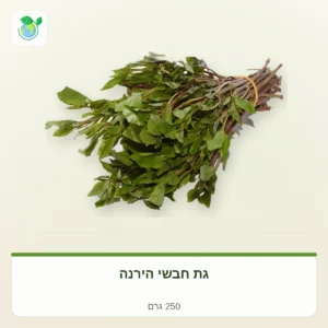 Bundle of fresh green leafy herbs with purple stems tied with a rubber band, labeled as 250 grams.
