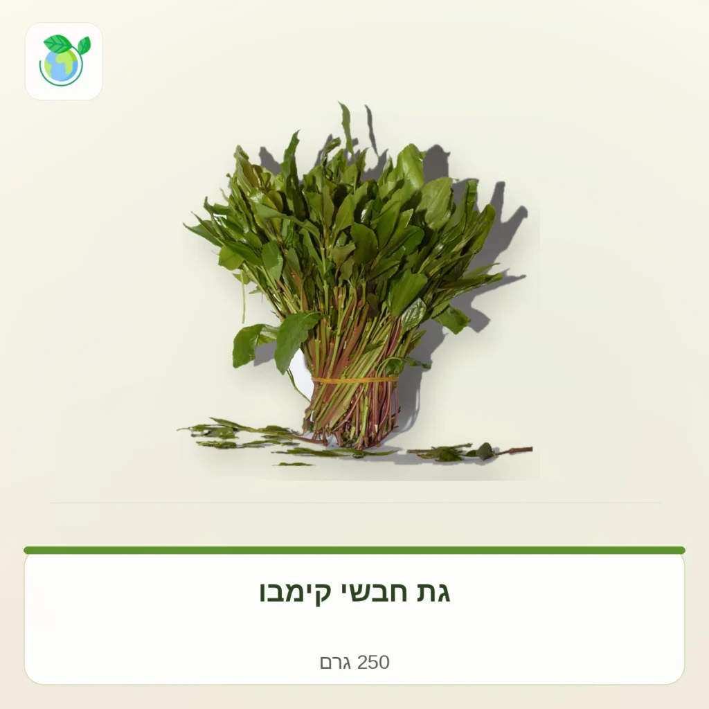 חבילת עלי ירק ירוקים טריים קשורה בגומי על רקע בהיר; משקל 250 גרם מופיע בתווית התחתונה