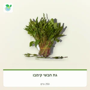 חבילת עלי ירק ירוקים טריים קשורה בגומי על רקע בהיר; משקל 250 גרם מופיע בתווית התחתונה