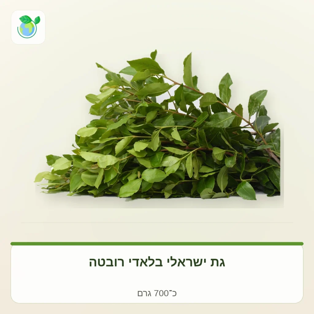 Bundle of fresh bay leaves with brown stems on a light background, labeled 700 g