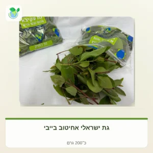 Fresh herb sprigs with green leaves and reddish stems on a white surface, with plastic-packaged greens labeled in Hebrew in the background.