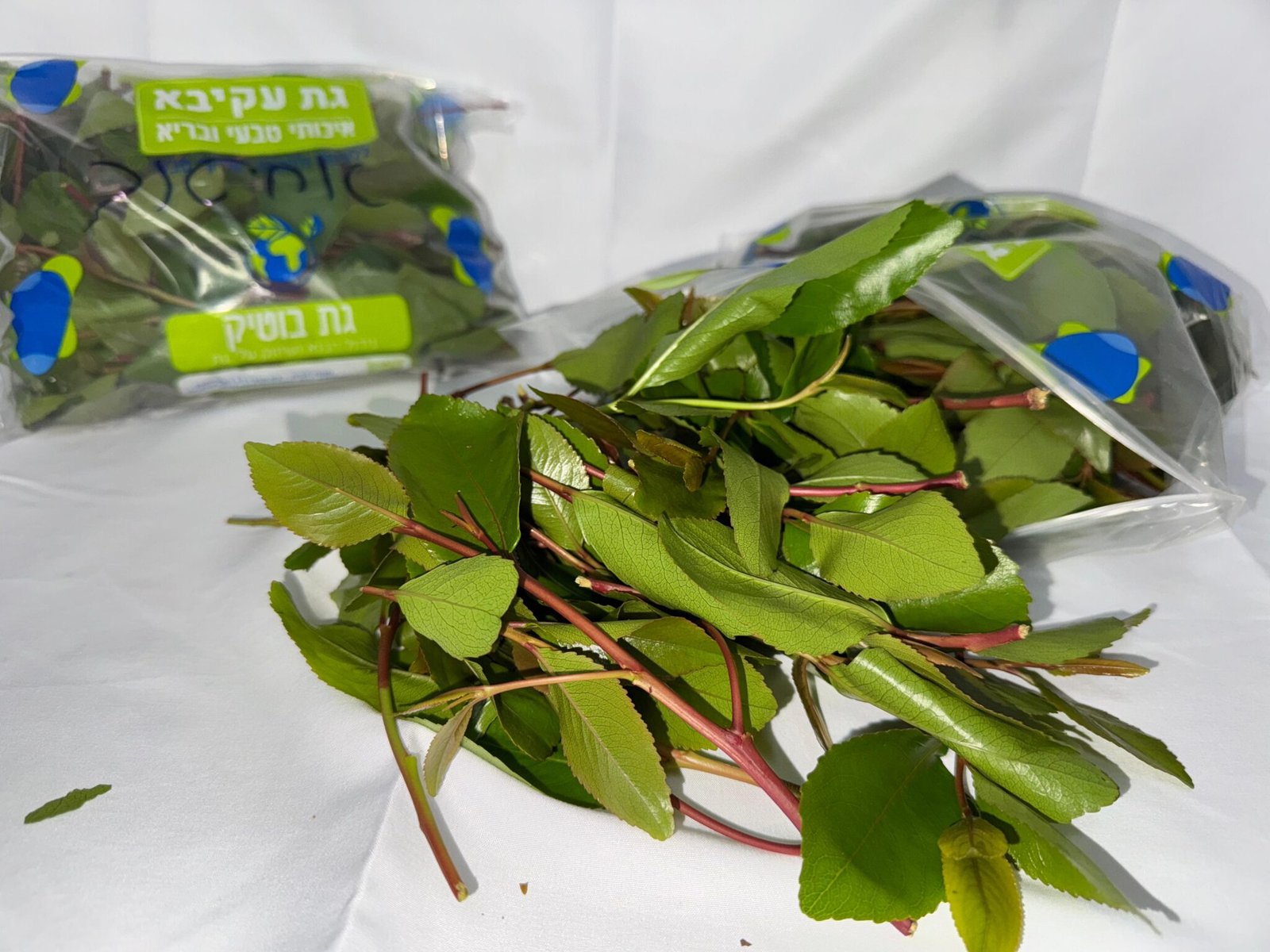 גת עקיבא 🍃 – גת טרי, מיץ גת ובוסט גת טבעי | משלוחים מהיום למחר לכל הארץ ...
