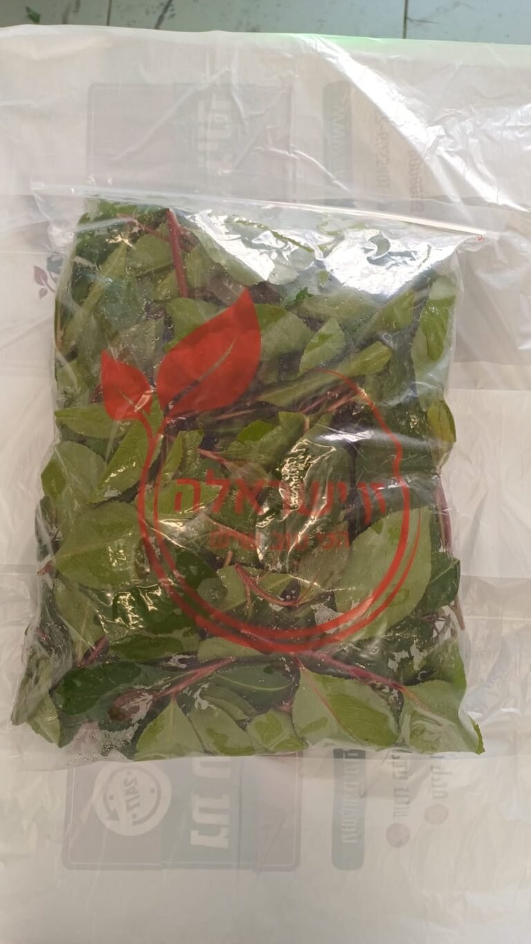גת עקיבא 🍃 – גת טרי, מיץ גת ובוסט גת טבעי | משלוחים מהיום למחר לכל הארץ ...