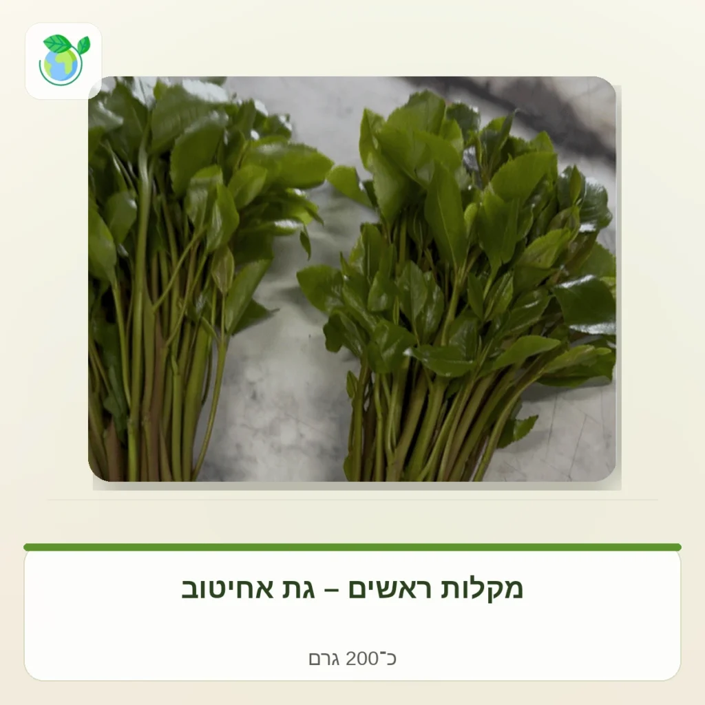 Two bunches of fresh celery with green leaves on a light marble surface.