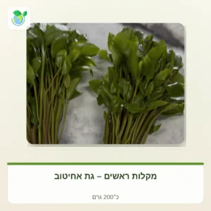 Two bunches of fresh celery with green leaves on a light marble surface.