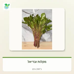 Bundle of fresh beet greens with red stalks tied with a rubber band, on a wooden surface, marble background.
