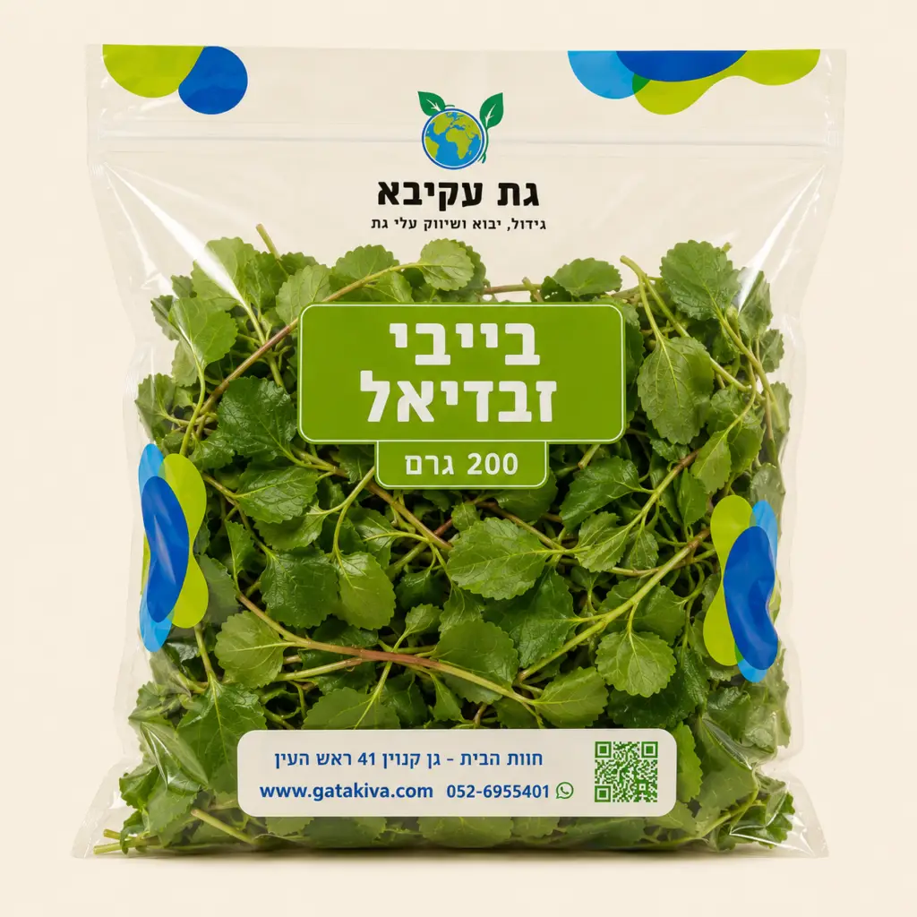 גת ישראלי בייבי זבדיאל
