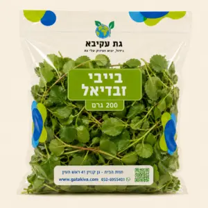 גת ישראלי בייבי זבדיאל