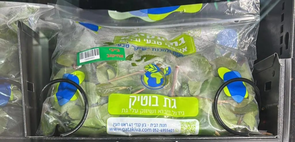 עלי גת בייבי קפוא להכנת מיץ, כ-1 ק״ג