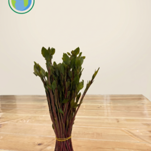 Bundle of leafy green branches tied with a yellow band on a wooden table; eco logo in top-left corner.