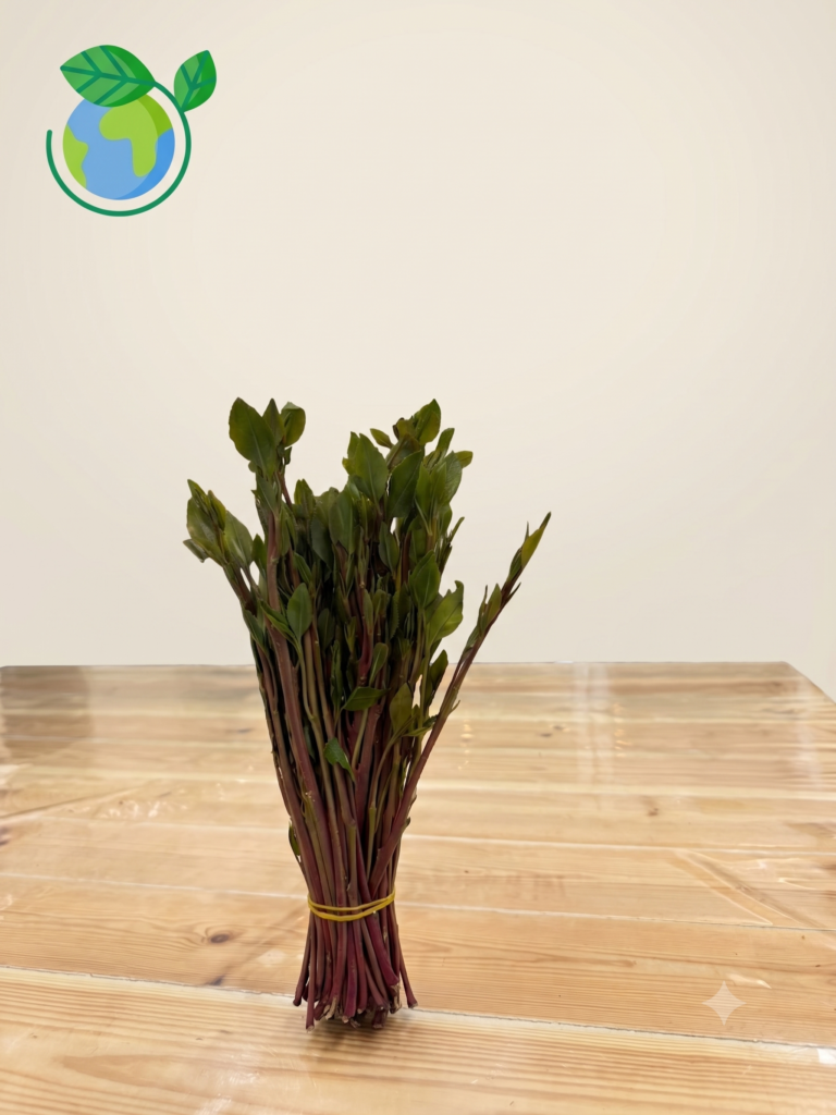 Bundle of leafy green branches tied with a yellow band on a wooden table; eco logo in top-left corner.